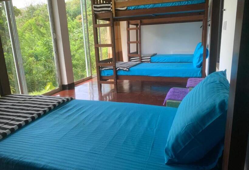 Pat in Cameră Comună, Paradise View Hostel