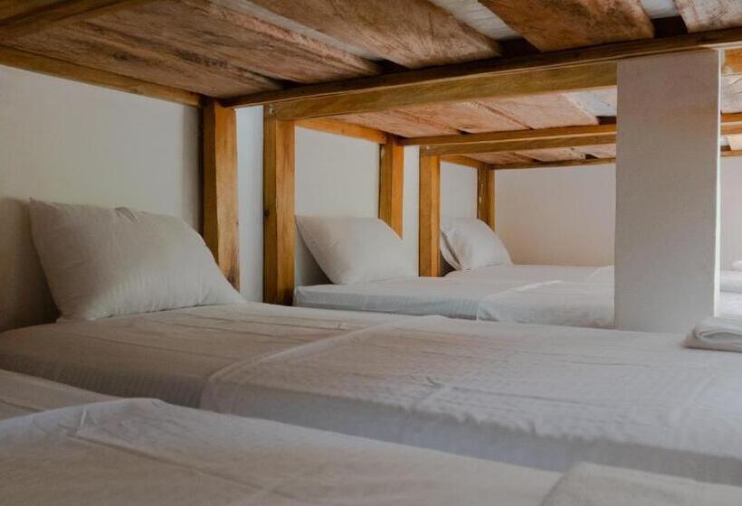 Кровать в Общей Комнате, Hostal Sierra Quindío