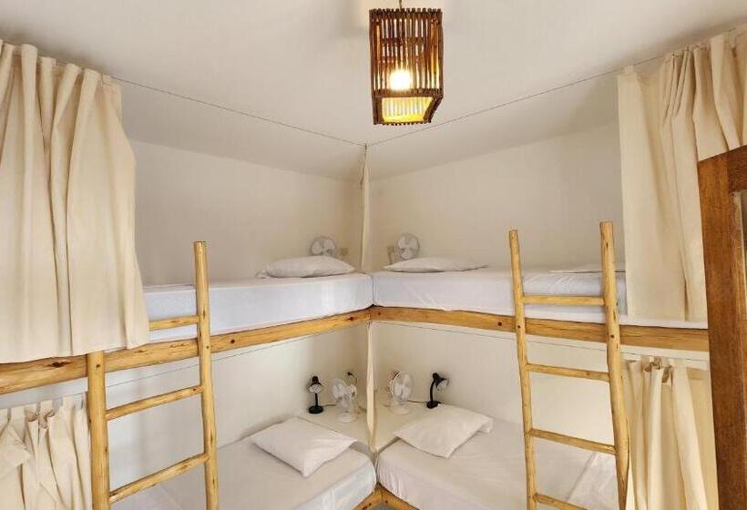 מיטה בחדר משותף, Kinti Guest House