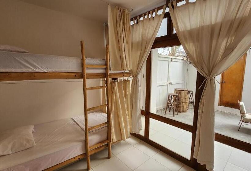 מיטה בחדר משותף, Kinti Guest House
