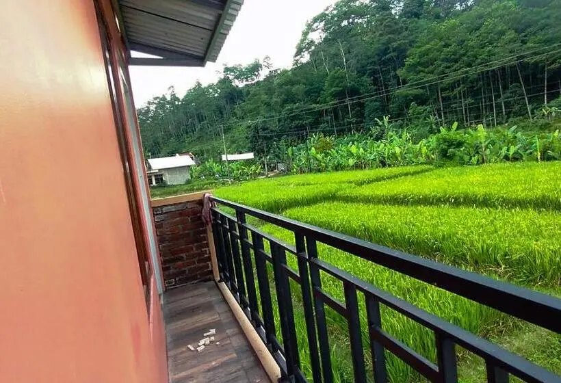 Quarto Estandar Vista Montanha, Laze Hiatus