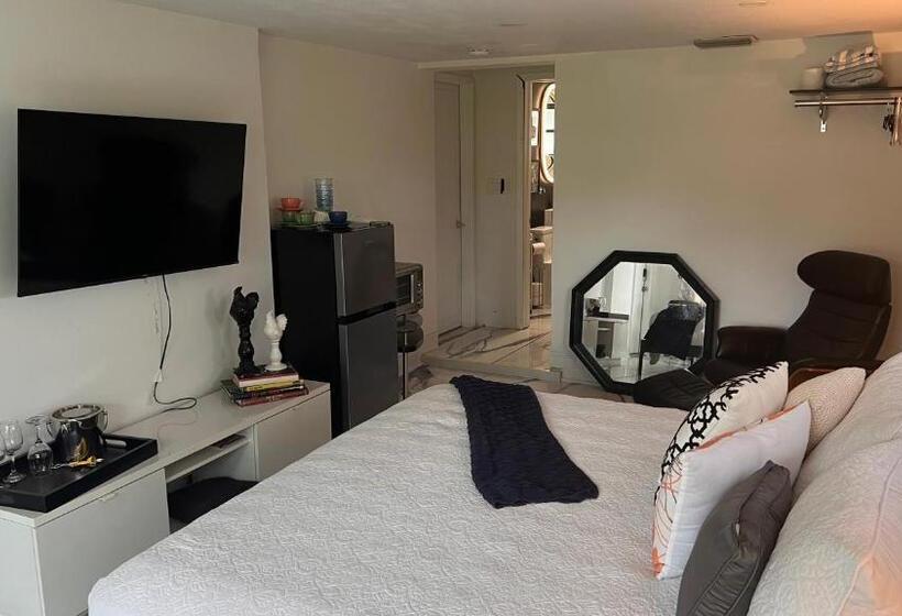 غرفة ديلوكس سرير كينج, Paradise Gardens Wilton Manors  Male Only