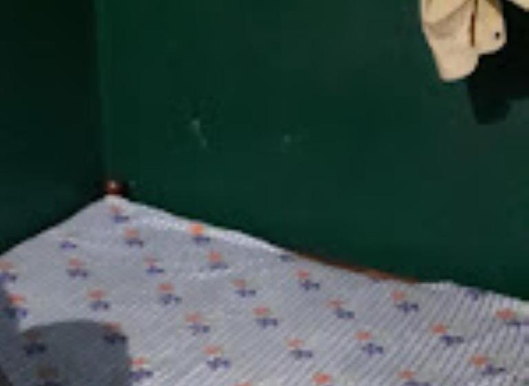 Quarto Estandar, Mayur,cuttack