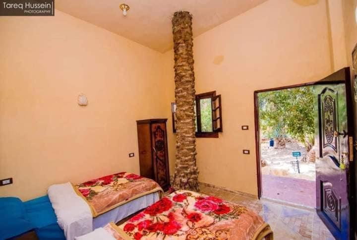 اتاق استاندارد, New Star