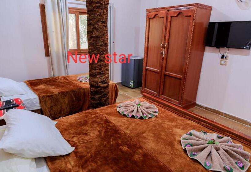 اتاق استاندارد یک نفره, New Star