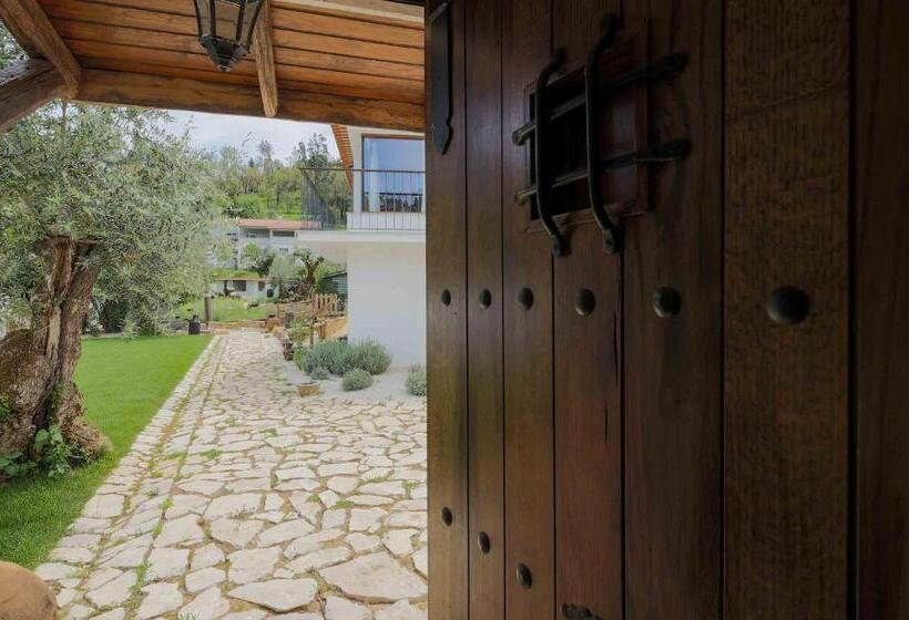 غرفة قياسية مزوَّدة بتراس, Reinado De Dom Dinis