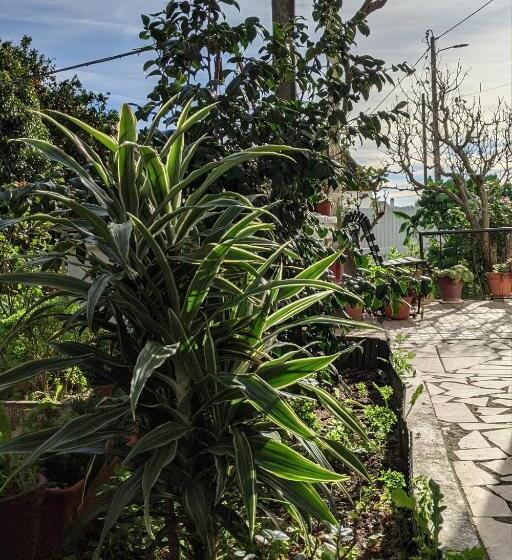 חדר סטנדרט, Alojamento Da Avó Rosa