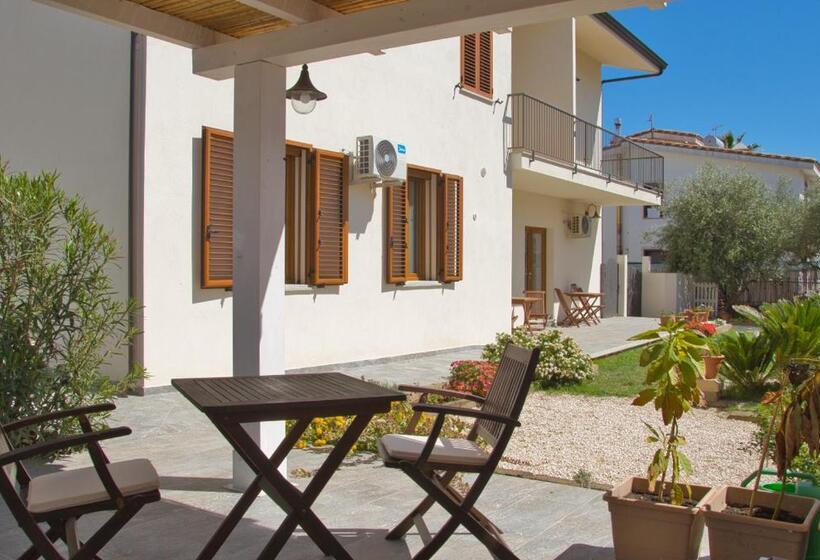 Номер Стандарт, Dommu Livia