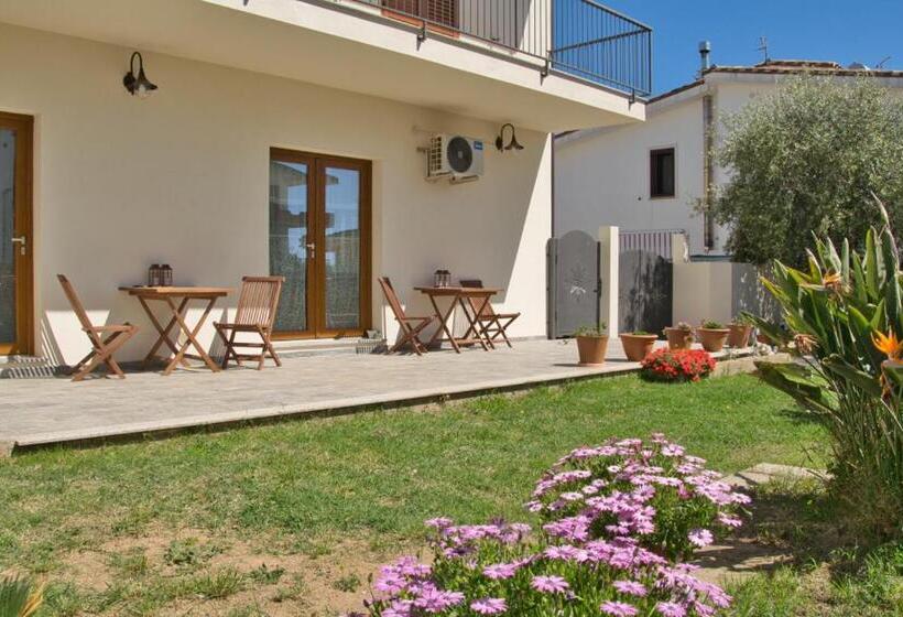 Номер Стандарт, Dommu Livia