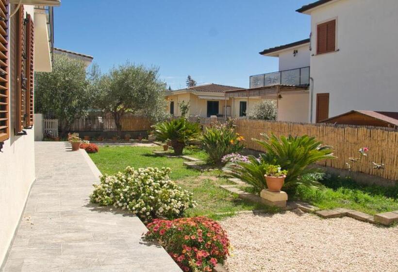 Номер Стандарт, Dommu Livia