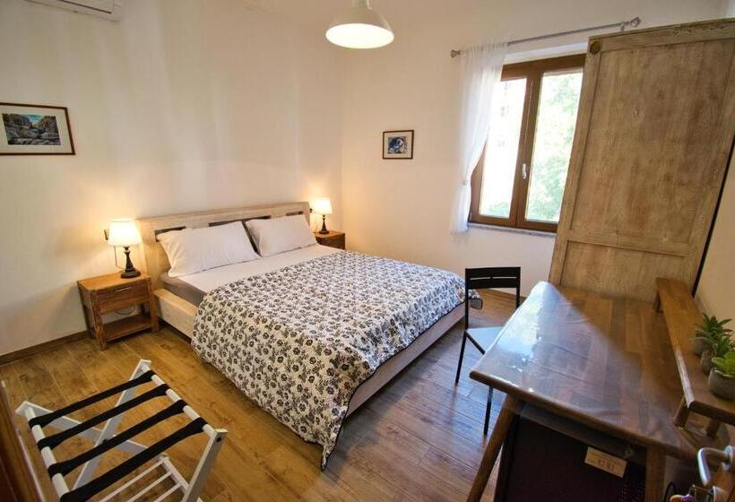 Номер Стандарт, Dommu Livia