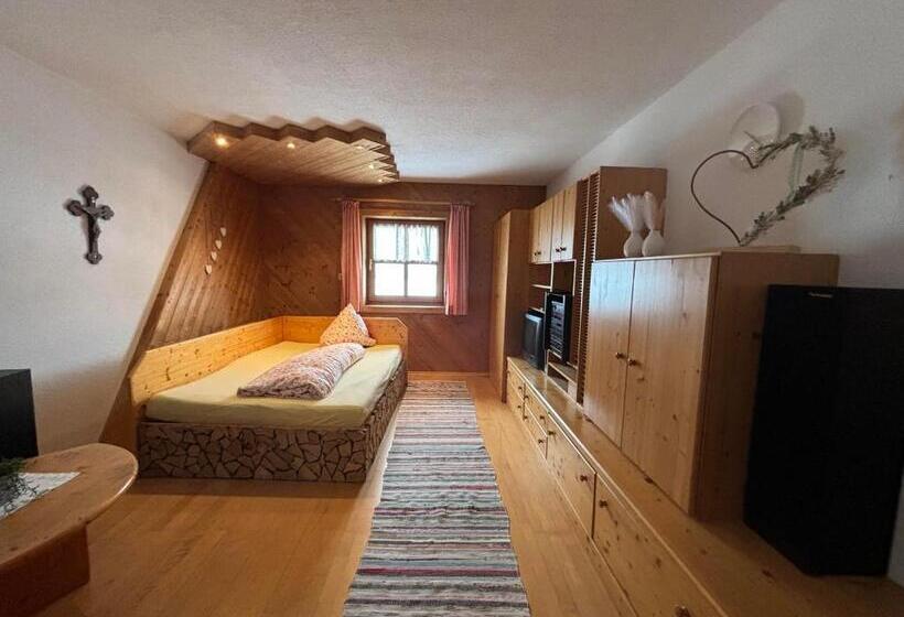 １ベッドルームアパートメント, Zillerbruggerhof