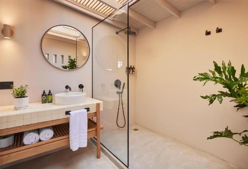 高级套房, Antípoda