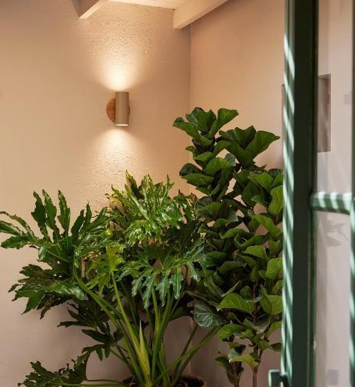 高级套房, Antípoda