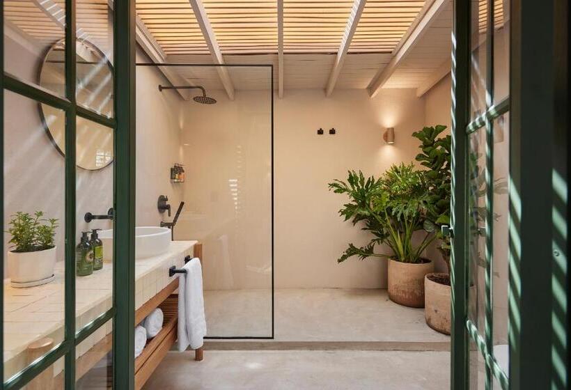 高级套房, Antípoda