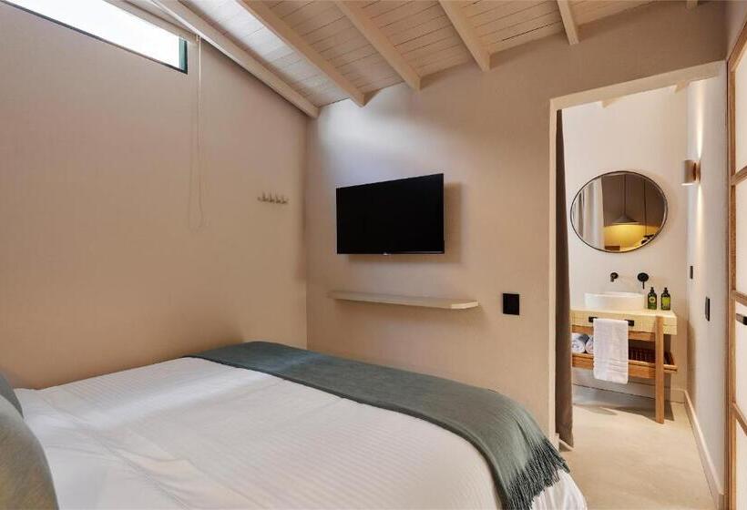 标准间, Antípoda