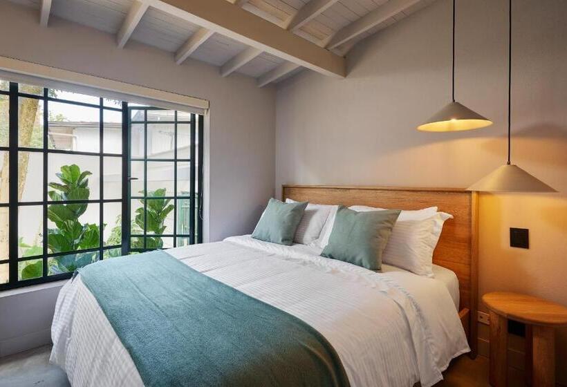 高级套房, Antípoda