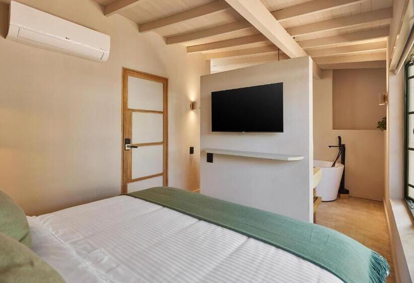 高级套房, Antípoda