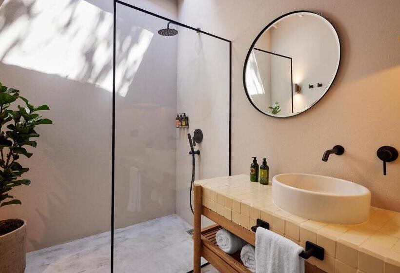 标准间, Antípoda