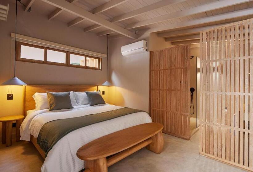 标准间, Antípoda