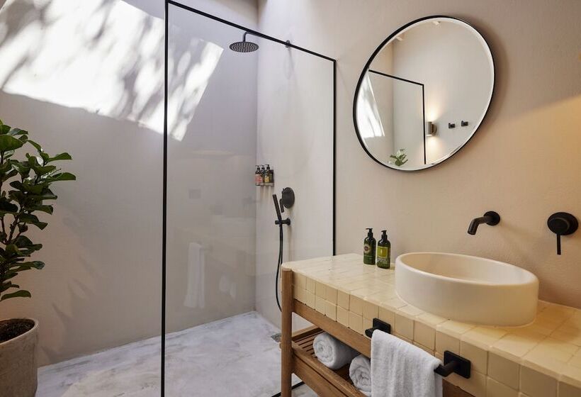 标准间, Antípoda