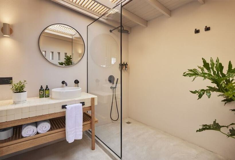 高级套房, Antípoda