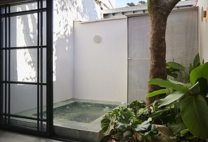 豪华套房, Antípoda