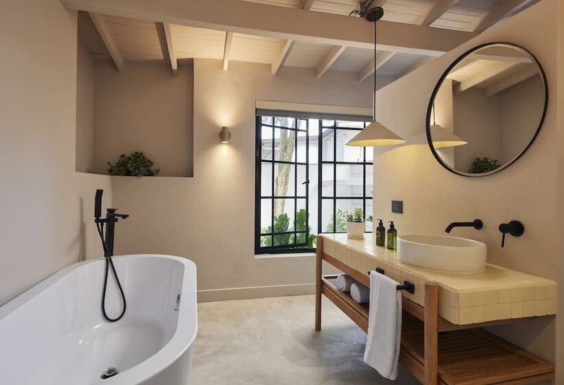 高级套房, Antípoda