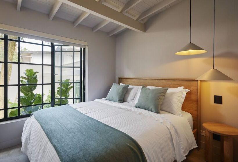 高级套房, Antípoda