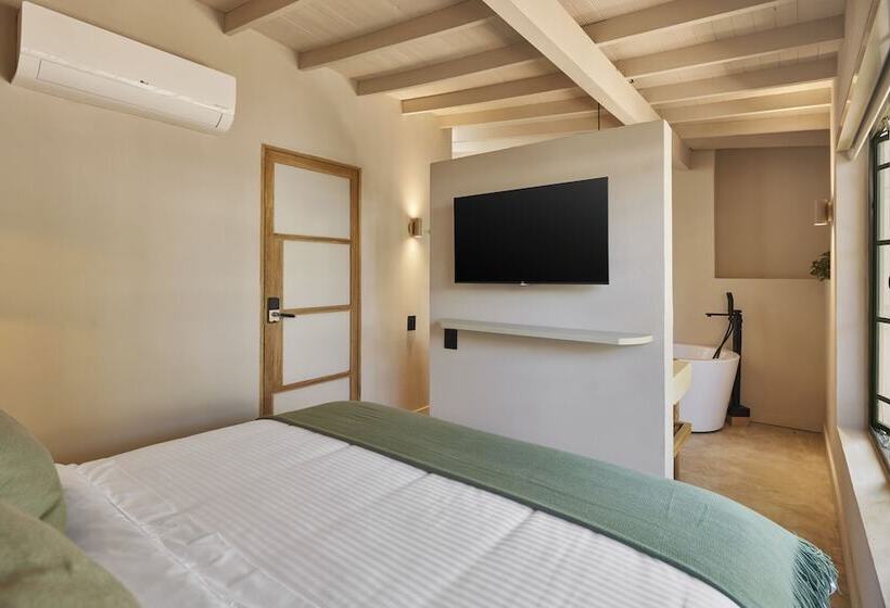 高级套房, Antípoda