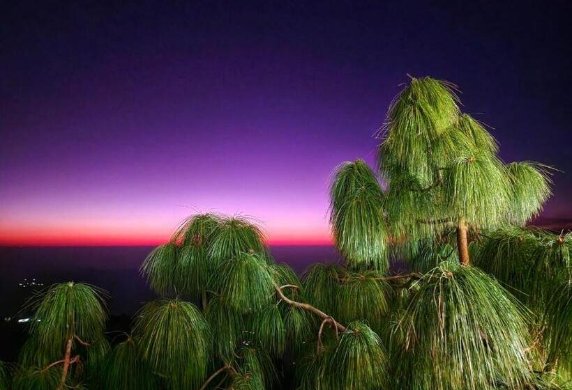 Апартаменты 3 Спальни, Him Hilton Luxury