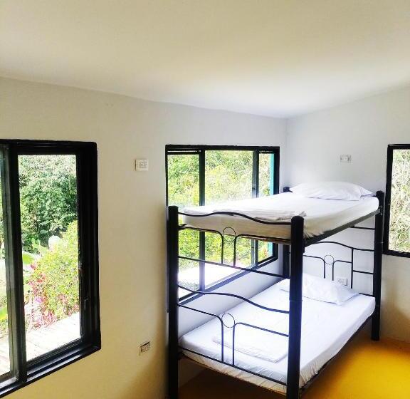 Кровать в Общей Комнате, Amalaya Hostel