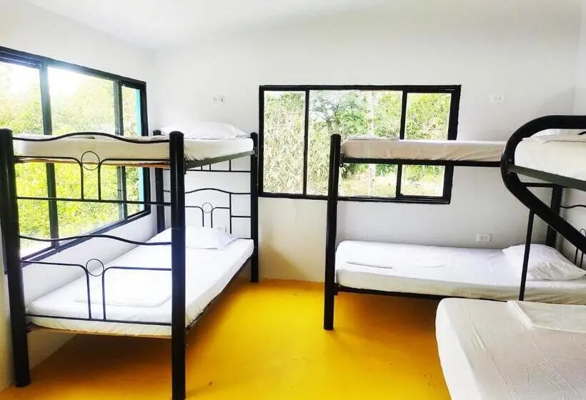 Vuode Makuusalissa, Amalaya Hostel
