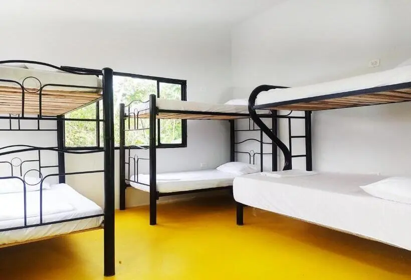 Vuode Makuusalissa, Amalaya Hostel
