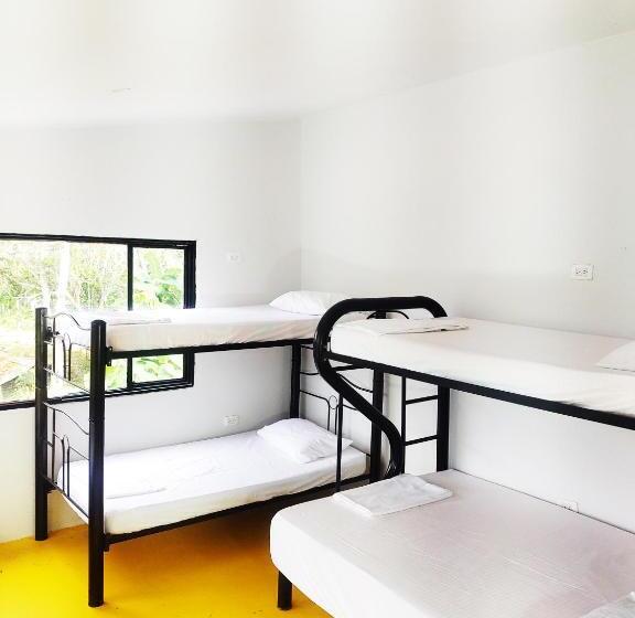 Кровать в Общей Комнате, Amalaya Hostel