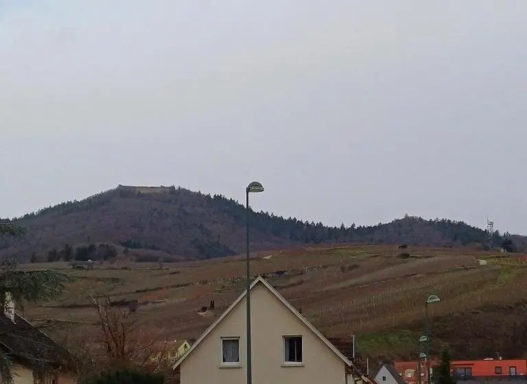 Deluxe-huone, Les Vignobles D Alsace