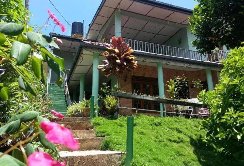 스탠다드 룸, Little Heaven Guest