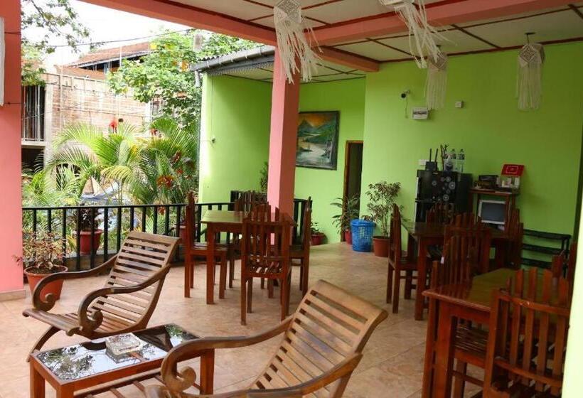 패밀리 룸, Little Heaven Guest