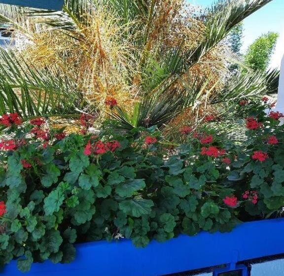 اتاق استاندارد, Maison D Hôtes Marine Ksar Sghir