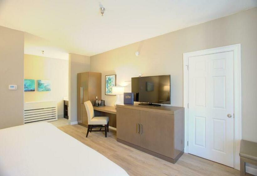 Standard Værelse King Size Seng, Beachview Club