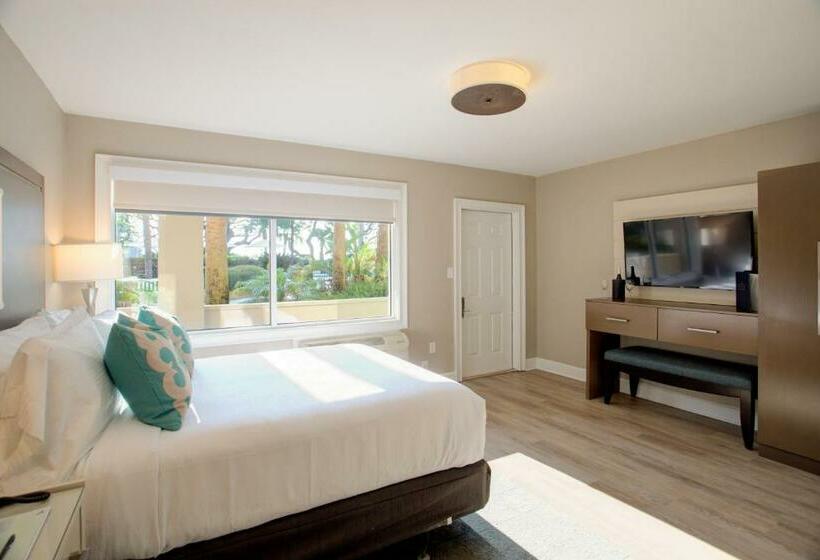 Standard Studio, Beachview Club