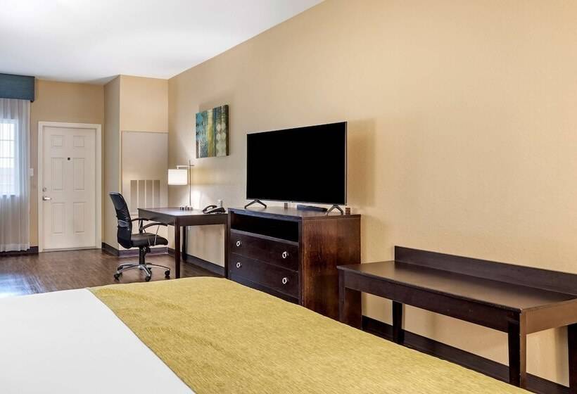 身障者適用スイートルーム, Best Western Plus Galveston Suites