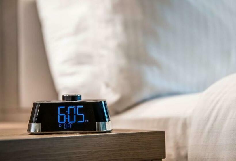 スタンダードルーム, Wyndham Garden Katy Energy Corridor