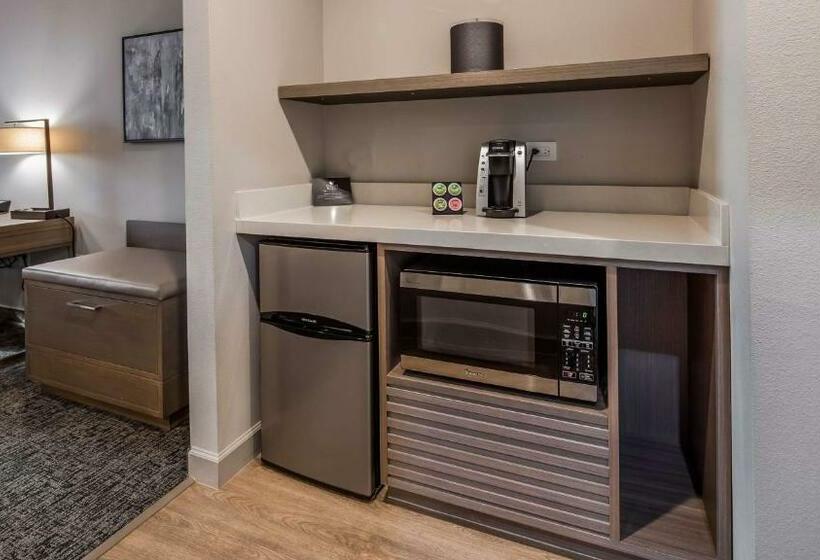 标准间, Wyndham Garden Katy Energy Corridor