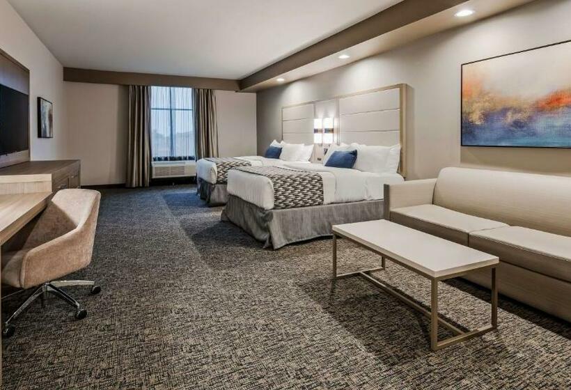 标准间, Wyndham Garden Katy Energy Corridor