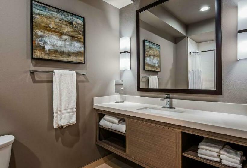 标准间, Wyndham Garden Katy Energy Corridor