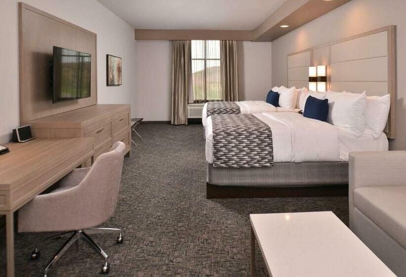 标准间, Wyndham Garden Katy Energy Corridor