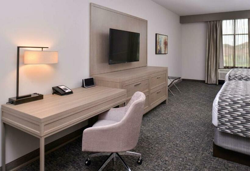 スタンダードルーム, Wyndham Garden Katy Energy Corridor