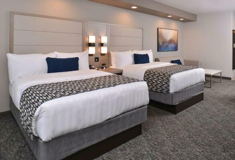 标准间, Wyndham Garden Katy Energy Corridor