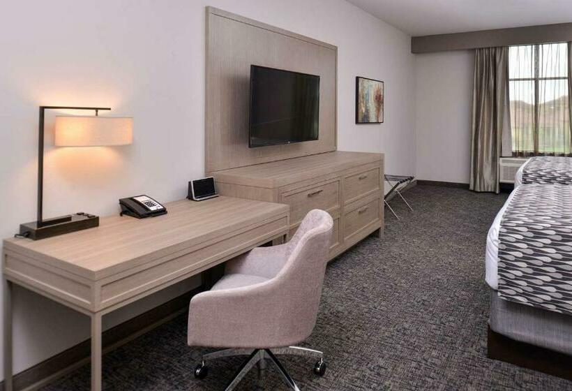 Номер Стандарт, Wyndham Garden Katy Energy Corridor